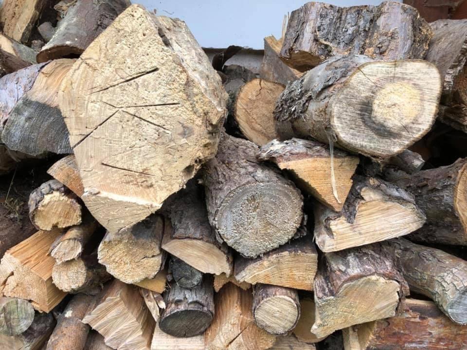 Chata U Smoliku Borovany  المظهر الخارجي الصورة