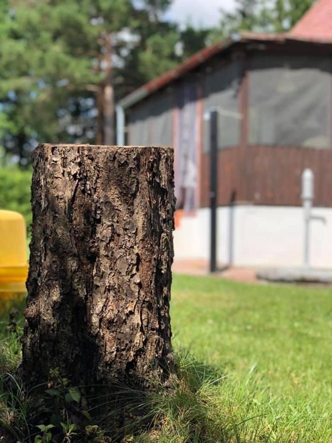 Chata U Smoliku Borovany  المظهر الخارجي الصورة